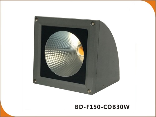 JR-BD-F150-COB30W